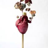 Blossom II by Francesca Dalla Benetta