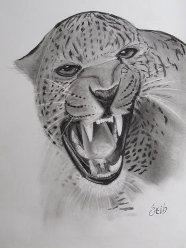 Print of Fine Art Animal Drawings by Mariano Seib