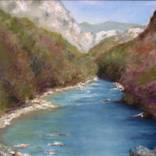 The Canyon of Tara River by Tatjana Lucic
