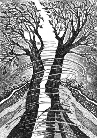 Original Conceptual Tree Drawings by Danuta Antas-Woźniewska