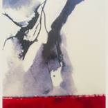 rami - Limited Edition 1 of 10 by Tania De Gregorio