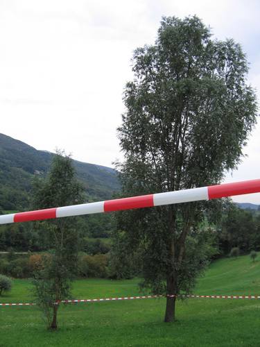 Original Street Art Nature Installation by Renate Egger