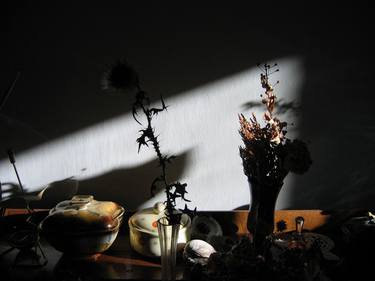 Print of Still Life Photography by Renate Egger