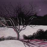 Crescent Moon and Venus rising, Fox and Snow by janet darley