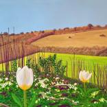 Towards the North Downs from Spekes Bottom by janet darley