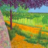 Viewpoint, Ringwood, Hampshire by janet darley