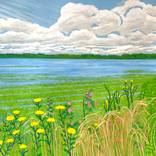 Flax Fields by janet darley