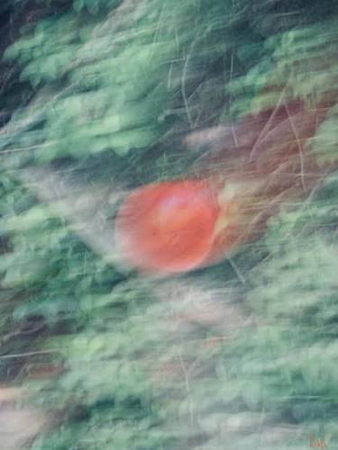 Original Abstract Expressionism Abstract Photography by Barbara Parise aka Cosmic Bird