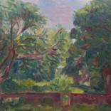 Cruickshank Botanic Garden in June, Aberdeen by Tadeusz Deregowski