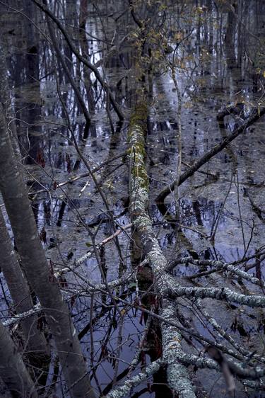 Print of Mortality Photography by Kristina Reznik