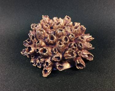 'Amethyst Cluster' thumb