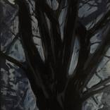 Tree II by Katarzyna Adamek-Chase