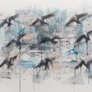 Collection Prints < 100: Birds