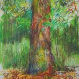 Our stories. Magic tree #2 by Busuioc Elena