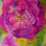 Our stories. Pink rose #3 by Busuioc Elena