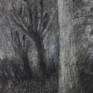 Night landscape with starry sky. Trees with many black crows. Drawing made with charcoal. Unframed artwork.