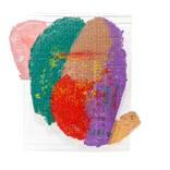 Slides by Mijal Zachs