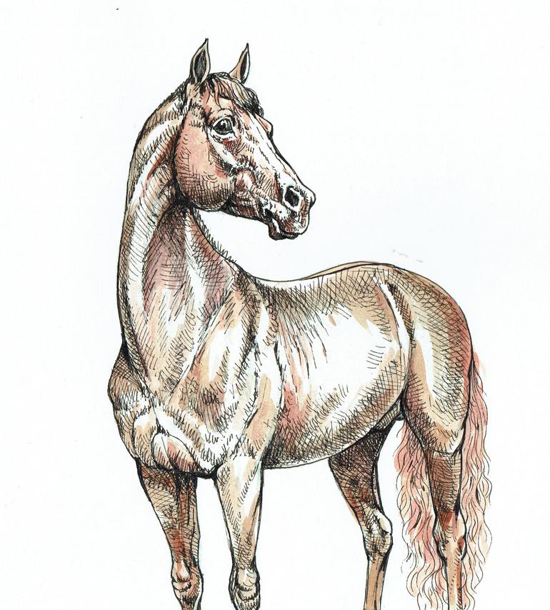 Original Figurative Horse Drawing by Sascha Lunyakov