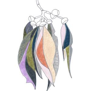 Collection Under $800 | The Other Art Fair Sydney October 2023