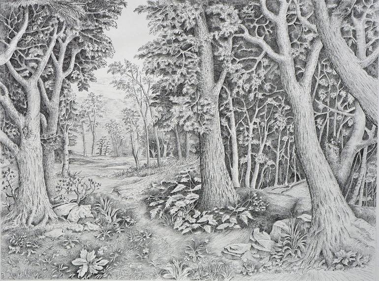 forest drawing with animals