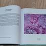 Published in ARTBOX 2024!