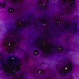 Blooms in Amethyst by Melissa Renee