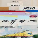 The wonder of speed by Les Jones