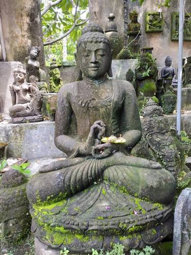 Buddha Statue Special with alga thumb