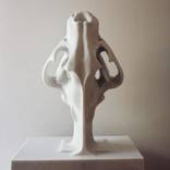 Mia Castro “Tiger scull” by Panova Gallery