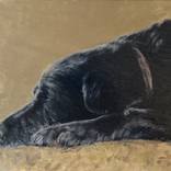 'Waiting For Master' by William Oxer