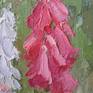 Delphinium in the garden. There is nothing in my garden. Pink foxglove and multicolored delphinium. For everyone there is a place. Also on canvas. I use only high quality oil paints in my work.