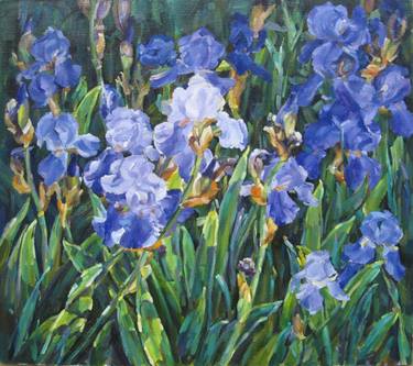 Blue irises thumb