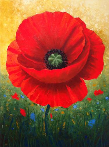 Red Poppy thumb