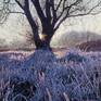I witnessed this wonderful sight early one spring morning, while walking at Grafham Lake, Cambridgeshire. The scene was so beautiful, so inspirational, I just had to paint it!
It is finely painted in oil paint on a very fine Italian canvas, stretched on a wooden stretcher.