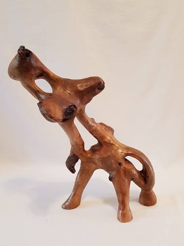 Original Folk Abstract Sculpture by Hillel Miller