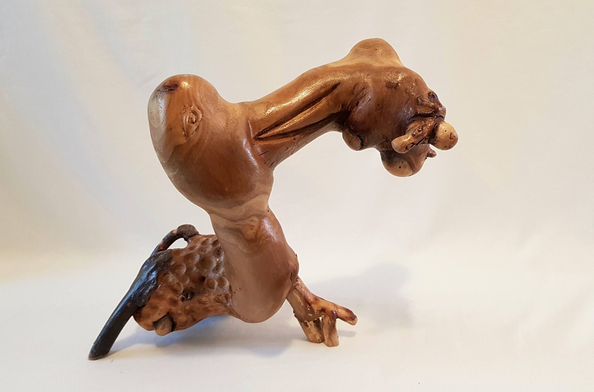 驚きの値段での商品をすべて by Sculpture Bird Dodo Hillel Australia Art Saatchi | Miller 洋書
