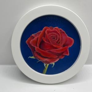 6” Series rose 4