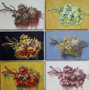 six versions of a bouquet of dried flowers or reality is a construction thumb