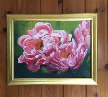 Peonies in the sun. thumb