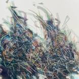 INK 8/INK,CHALK  &  ACRYLIC  , SPARY PAINT ON CANVAS /2023 by Francisco Gomez