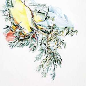 Olive branch