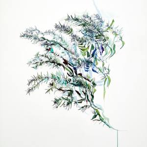Rosemary branch