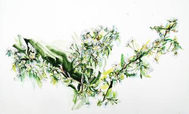 Original Figurative Botanic Paintings by Emma Archer