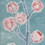 Inhabit l Angophora costata by Julie Hickson