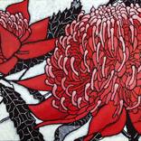 Red Waratah lll by Julie Hickson