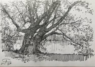 Original Fine Art Nature Drawings by Andrey Svistunov