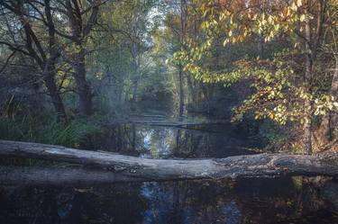 Small forest river in autumn thumb