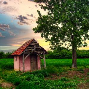 Collection Green fields