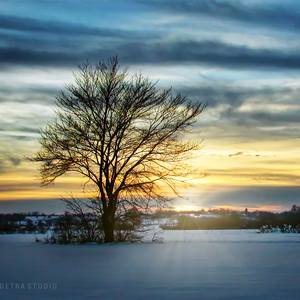 Collection Winter fields