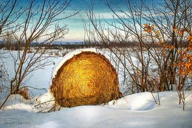 Hay bale forgotten in the snow thumb
